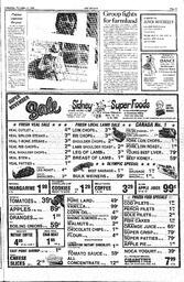 The Sidney Review Wed, November 12, 1980 (Page 19)