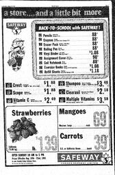 The Sidney Review Wed, August 19, 1981 (Page 9)