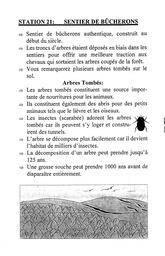   FESTIVAL DU BOIS, 1997   , page 6