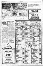 The Sidney Review Wed, July 28, 1982 (Page 11)