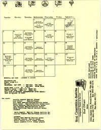   LE PETIT ACCUEIL, 1994   , page 7