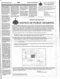 The Peninsula News Review Wed, February 10, 1999 (Page 35)