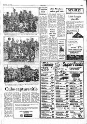 The Sidney Review Wed, July 2, 1980 (Page 11)