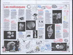 Le Soleil de Colombie, February 2, 1990, page 20