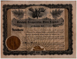 Front side of Rustaa Savola Certificate for Shares