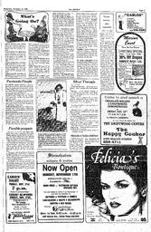 The Sidney Review Wed, November 19, 1980 (Page 17)