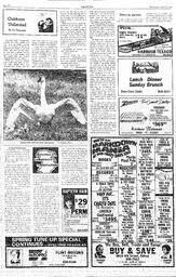 The Review Wed, April 24, 1985 (Page 17)