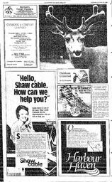 The Review Wed, December 28, 1988 (Page 22)