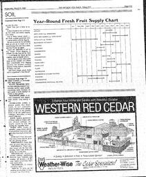 The Review Wed, March 8, 1989 (Page 37)