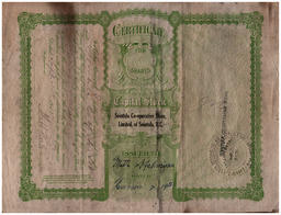 Reverse side of Matti Halminen Certificate for Shares