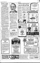 The Sidney Review Wed, December 10, 1980 (Page 19)