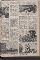   The Pacific Tribune - Friday, November 13, 1970   , page 7