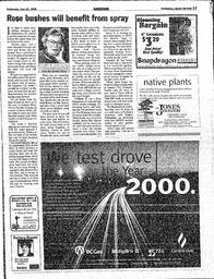 The Peninsula News Review Wed, June 16, 1999 (Page 19)