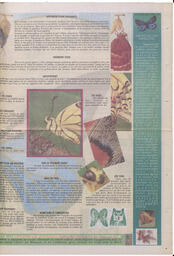 Le Soleil de Colombie-Britannique, May 3, 1996, page 17