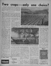 image-009.tif