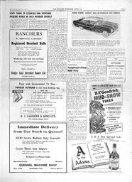 1954-11-04-003.tif