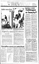 The Review Wed, September 24, 1986 (Page 1)
