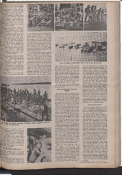   The Pacific Tribune - Friday, July 10, 1970   , page 5