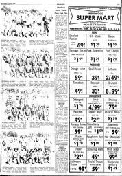 The Sidney Review Wed, April 20, 1977 (Page 3)