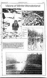 The Review Wed, January 18, 1989 (Page 31)