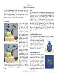 2004_9_octPGBCNewsletter_0.pdf-8