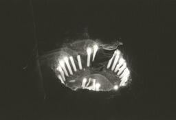 A Simple Truth Negative 16