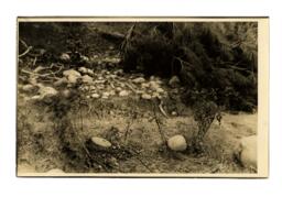 Carr and Gisbourne Case: 1934