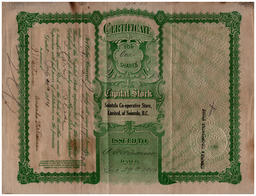 Reverse side of Amanda Wartiainen Certificate for Shares