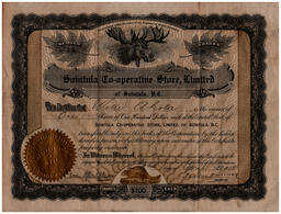 Front side of Willie Ahola Certificate for Shares