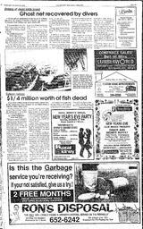 The Review Wed, December 28, 1988 (Page 3)