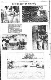 The Review Wed, July 27, 1988 (Page 20)