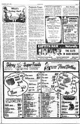 The Sidney Review Wed, April 1, 1981 (Page 13)