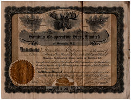 Front side of Sander Hayrynen Certificate for Shares