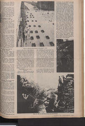   The Pacific Tribune - Saturday, November 4, 1967   , page 7