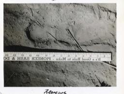 Shoe print photograph B: [19--]