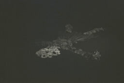 Hungry Ghosts Negative 25A