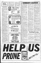 The Review Wed, January 23, 1985 (Page 14)
