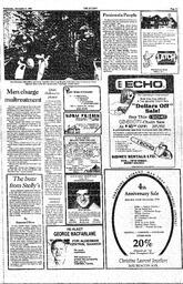 The Sidney Review Wed, November 5, 1980 (Page 13)