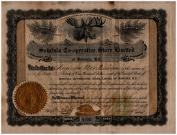 Front side of Amanda Wartiainen Certificate for Shares