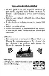   FESTIVAL DU BOIS, 1997   , page 9