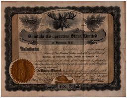 Front side of D. Siider Certificate for Shares