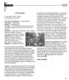   LE RÉVERBÈRE, 2006   , page 11