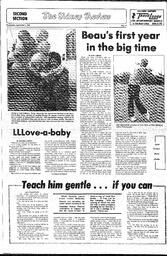 The Sidney Review Wed, September 2, 1981 (Page 13)