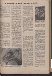   The Pacific Tribune - Friday, March 5, 1965   , page 7