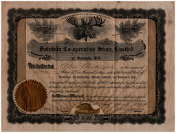 Front side of Alex Anderson Certificate for Shares