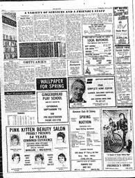 The Sidney Review Wed, April 4, 1973 (Page 2)