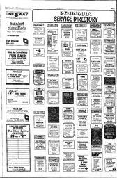 The Sidney Review Wed, June 3, 1981 (Page 17)