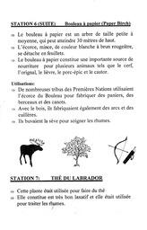   FESTIVAL DU BOIS, 1997   , page 5