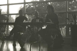 Theories and Hybridities Negative 00A