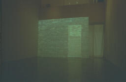 Catarina Negative 17